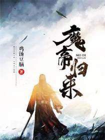 护国神将叶龙渊夏芷若