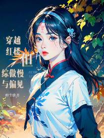 穿越红楼,但综傲慢与偏见
