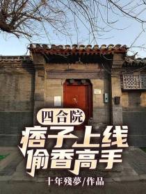 四合院：痞子上线,偷香高手
