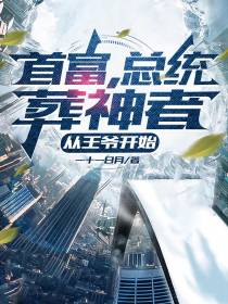 首富,总统,葬神者,从王爷开始