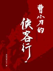 曹小刀的侠客行