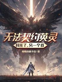 无法契约英灵？拜托了,另一个我