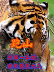 跑山：开局一条豺,承包整座大山