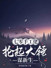 七零手工佬,抡起大锤谋新生
