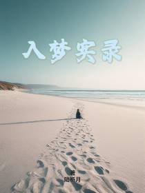 入梦实录