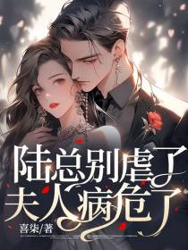 陆总别虐了，夫人病危了