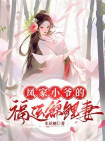 凤家小爷的福运锦鲤妻