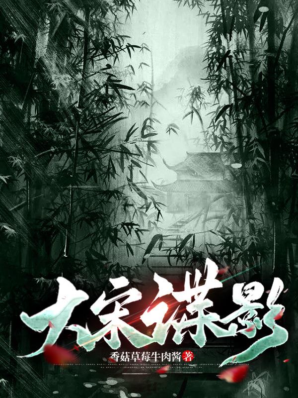 大宋谍影