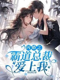 闪婚之霸道总裁爱上我