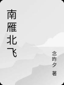 南雁北飞