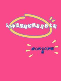 5G冲浪后结识网友是我上司