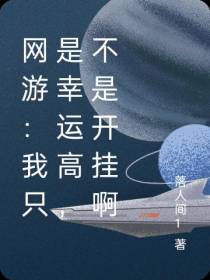 网游：我只是幸运高,我没有开挂