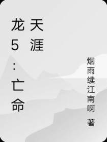 龙5：亡命天涯
