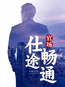 官场：仕途畅通
