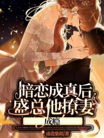 暗恋成真后,盛总他撩妻成瘾