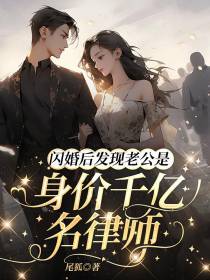 闪婚后发现老公是身价千亿名律师