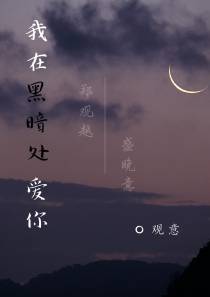 我在黑暗处爱你
