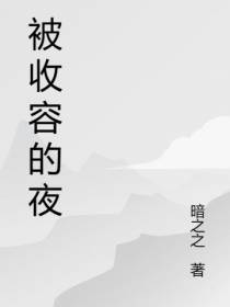 被收容的夜