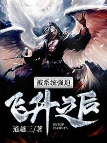 被系统强迫飞升之后