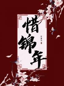 惜锦年