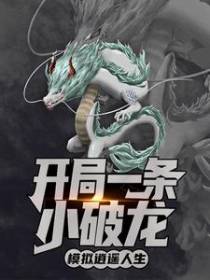 开局一条小破龙，模拟逍遥人生