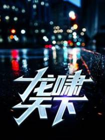 龙啸天下