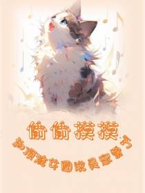 偷偷摸摸和顶流女团成员恋爱了