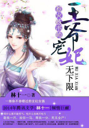 惹火炼术师：王爷宠妃无下限