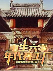 重生六零年代开工厂
