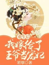 重生后，我嫁给了王爷当宠妃