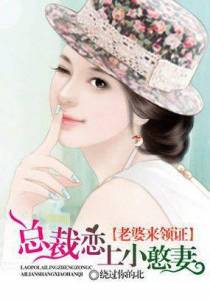 豪门隐婚：双胞胎宝宝的总统爹
