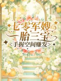 七零军嫂一胎三宝：手握空间赚发