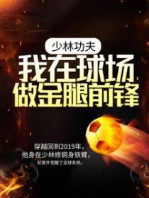 少林功夫：我在球场做金腿前锋