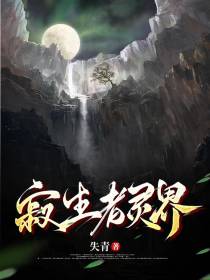 寂生者灵界