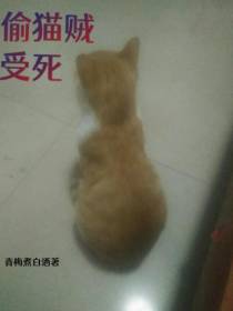 偷猫贼受死
