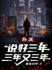 卧底：说好三年,三年又三年