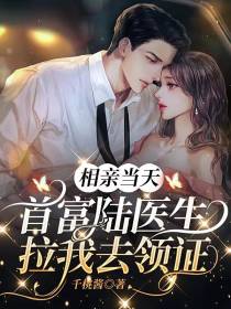 相亲当天,首富陆医生拉我去领证