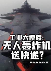 工业大摸底：无人轰炸机送快递？