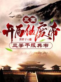 三国：开局做废帝,三拳干服典韦