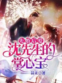 先婚后爱：沈先生的掌心宝