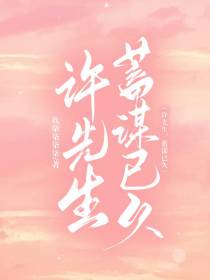许先生,蓄谋已久