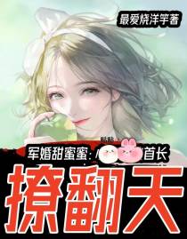 军婚甜蜜蜜：首长撩翻天