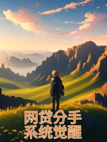 网贷分手,系统觉醒