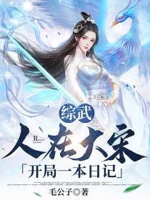 综武：人在大宋,开局一本日记