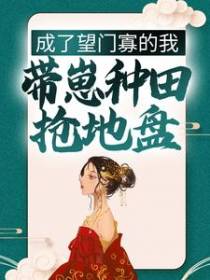 成了望门寡的我，带崽种田抢地盘