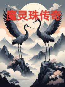 魔灵珠传奇