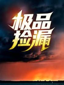 极品捡漏