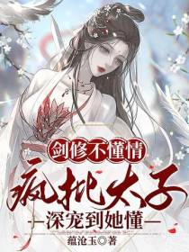 剑修不懂情,疯批太子深宠到她懂
