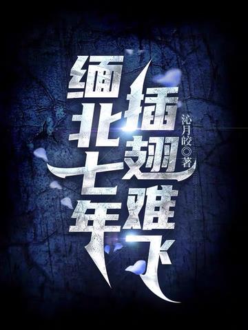 缅北七年,插翅难飞