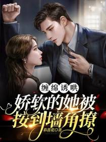 缠绵诱哄,娇软的她被按到墙角撩